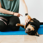 a dog on a yoga mat